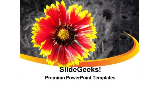 Yellow Flower On Background Beauty PowerPoint Templates And PowerPoint Backgrounds 0311 Yellow Flower On Background Beauty PowerPoint Templates And PowerPoint Backgrounds 0311