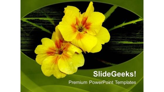 Yellow Flowers On Green Background PowerPoint Templates Ppt Backgrounds For Slides 0713 Yellow Flowers On Green Background PowerPoint Templates Ppt Backgrounds For Slides 0713