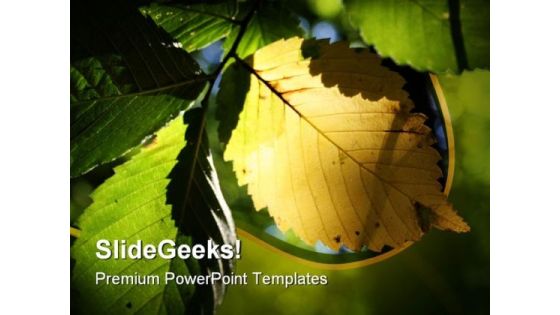 Yellow Leaf Nature PowerPoint Template 0810 Yellow Leaf Nature PowerPoint Template 0810
