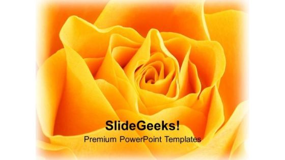 Yellow Rose Flower Background PowerPoint Templates Ppt Backgrounds For Slides 1212